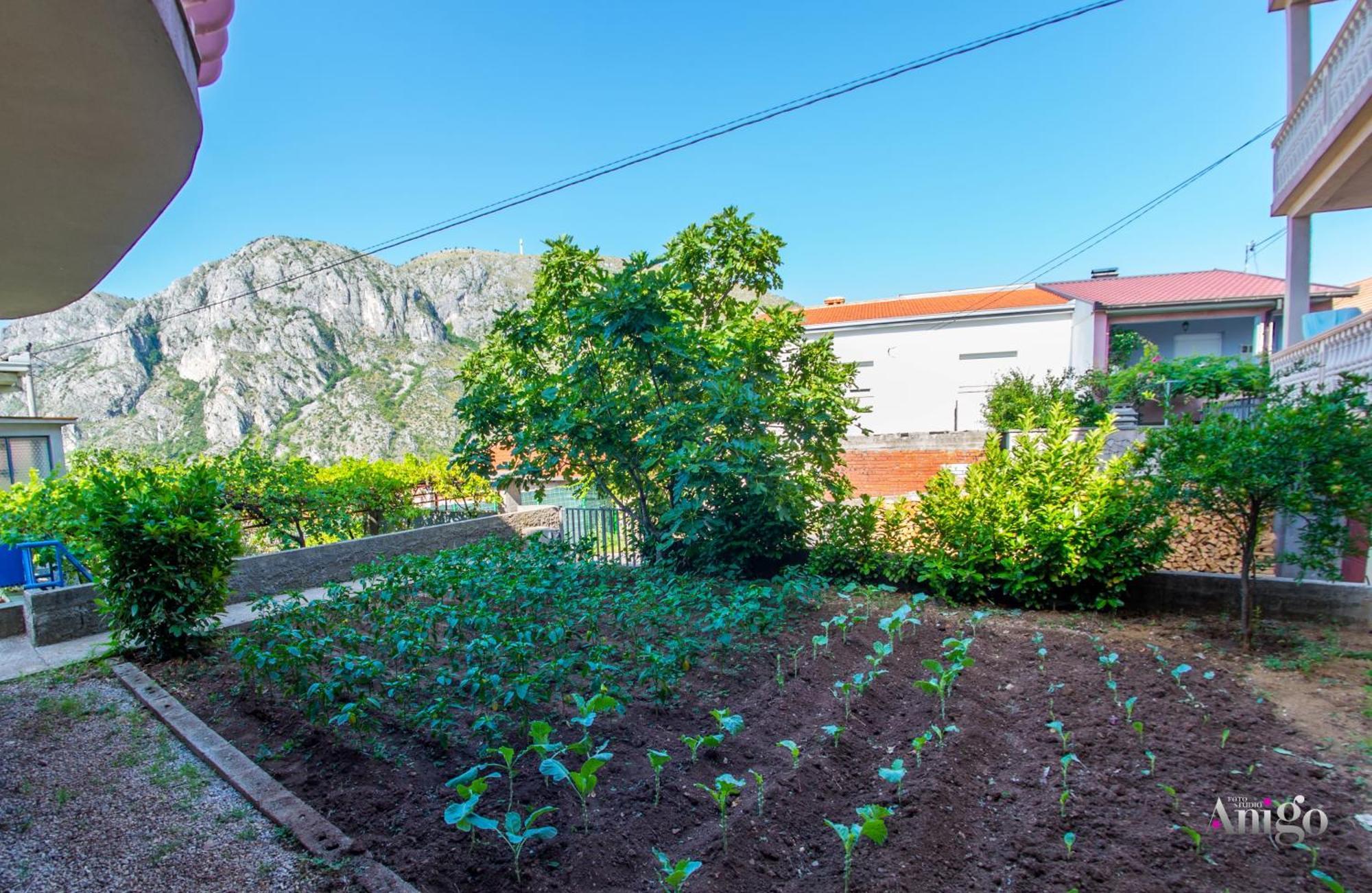 Apartments Fusion Mostar Eksteriør billede